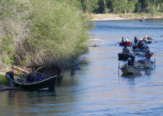 Anglers flock to the Salmon River during a recent salmon fishing season. Efforts to restore salmon and steelhead habitat in the Upper Salmon Basin is expected to increase fish populations and lead to more fishing seasons. 