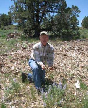 Art Talsma of The Nature Conservancy shows how native plants -- bunchgrasses and wildflowers -- bounce back quickly after junipers have been removed