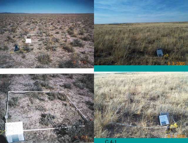 BLM officials encourage ranchers to do their own monitoring to help document rangeland condition and health.