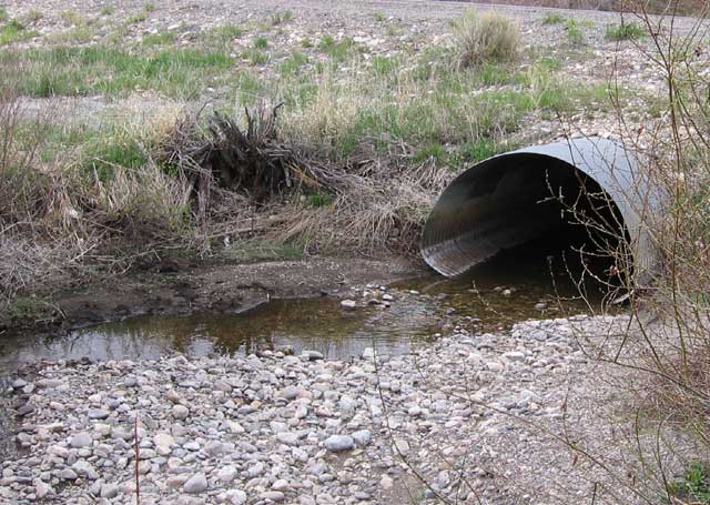 Beyeler Ranches LLC moved their point of diversion from Big Timber Creek to the main-stem Lemhi River to restore flows to the creek via the Idaho Water Resources Board’s Water Transactions Program. 
