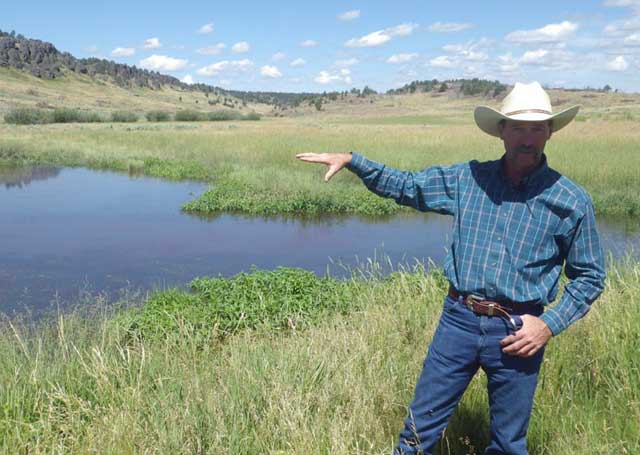 Chris Black has built a series of ponds in the Toy Meadows area for wildlife, cattle and water storage. The ponds help sub-irrigate the meadow, growing tall grass for cattle, while also providing habitat for frogs and other wildlife.