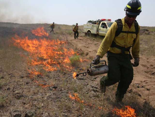 Fire breaks allow the BLM to set backburns and stop wildfires from spreading on that flank.