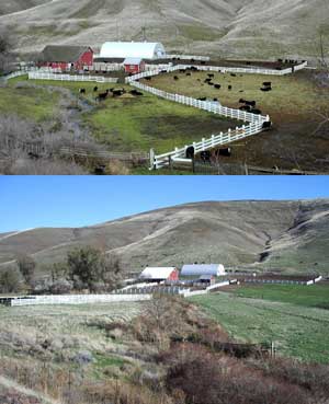 Meadow Creek before (top) and after fencing was installed. Off-site water provides a place for cattle to drink. Water quality has been improved
