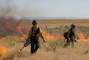 Ranchers would like to see more prescribed burning on rangelands to create mosaics in the sagebrush and prevent big wildfires in the future. 