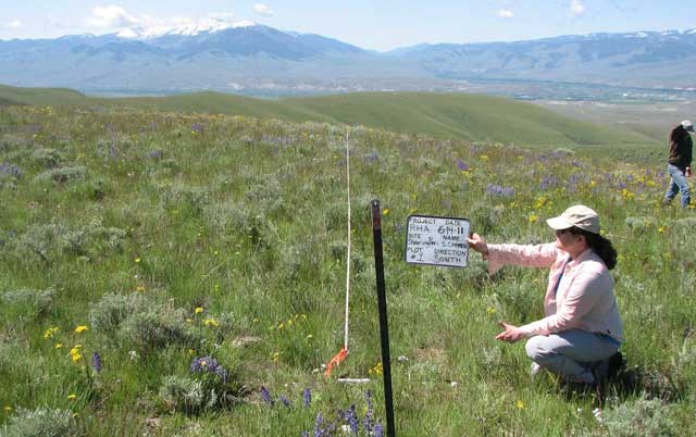 Range monitoring helps document rangeland ecological conditions over time on federal grazing allotments and on private ranchlands. 