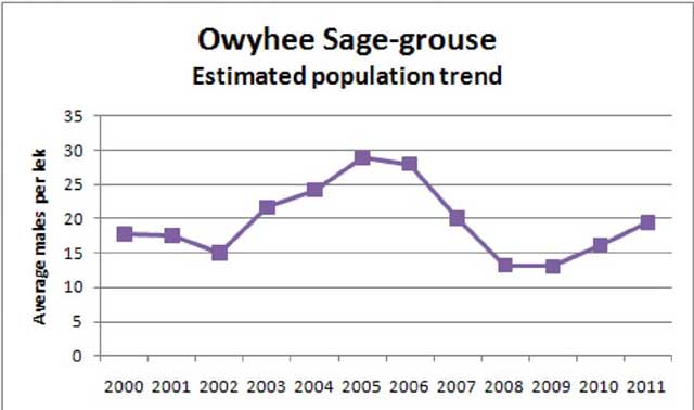 Sage-grouse numbers seem to be rebounding in recent years in the Owyhees. 