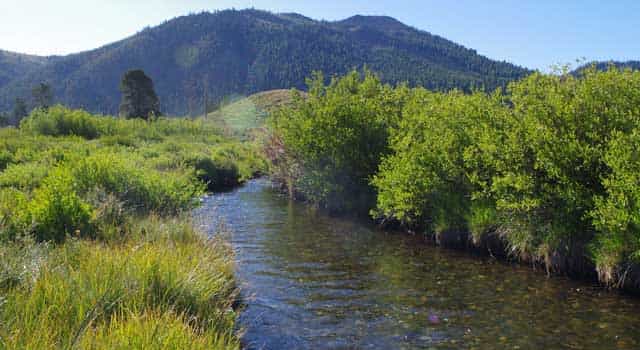 Located near the Salmon River headwaters,