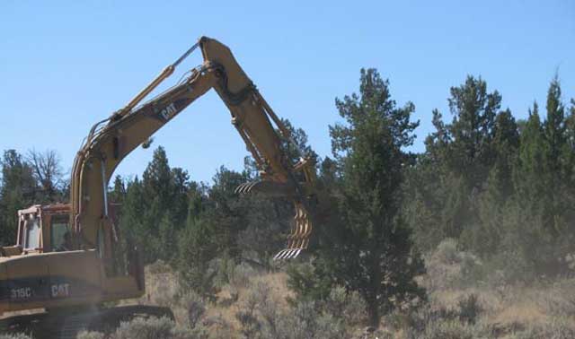 The BLM and Owyhee County ranchers work to prevent the spread of juniper trees in the shrub-steppe ecosystem. Lack of natural fire has led to the expansion of juniper trees across the landscape, reducing wildlife habitat and grass for livestock.
