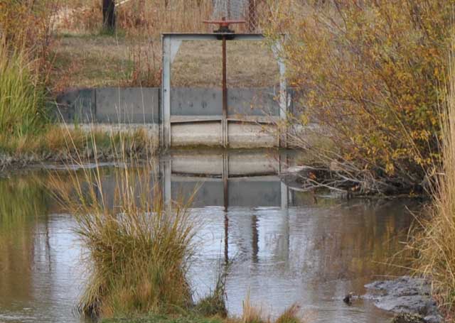 As part of the conservation easement, Tyler retired a water right for the L-63 diversion to increase in-stream flows on the Lemhi River for resident and ocean-going fish. 