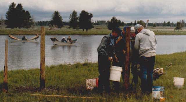 Volunteers with the Henrys Fork Foundation install fence posts for the first riparian fence along seven miles of the Henrys Fork, a blue-ribbon trout stream, to keep cattle out of the river and prevent damage to the streambank. This project occurred in 1986. Fencing helps keep the peace between anglers and ranchers. (Henrys Fork Foundation photo) 