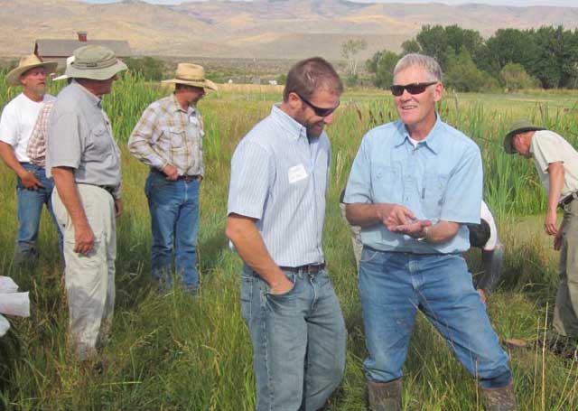 Wetlands workshop participants included Owyhee County ranchers, Art Talsma of the Nature Conservancy and Dustin Miller, administrator of the Governor’s Office of Species Conservation. Below, a Columbia spotted frog. 