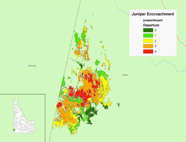 Graphic shows the extent of the juniper invasion issue in the Owyhees. The trees normally grew in the rocks surrounding meadows, and over time, the trees have encroached into habitats where they never grew before. The reason for the spread is the absence of fire