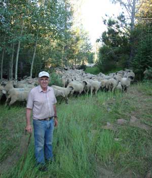 Etcheverry likes his sheep range in Eastern Idaho. “Where the feed is, there’s no better anywhere,” he says. Photo courtesy of Where Food Comes From®