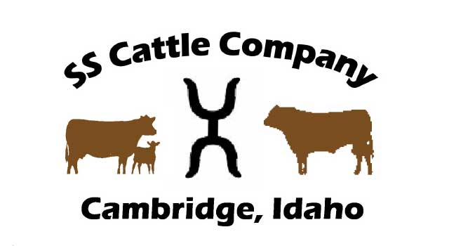 SS Cattle Company