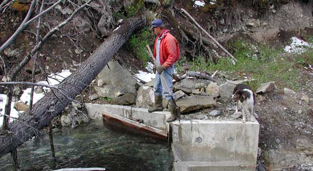 Steve Smith removes debris from the Arentson Creek diversion in the Lost River Range. The Smiths also have water rights on Rock Creek and Cedar Creek