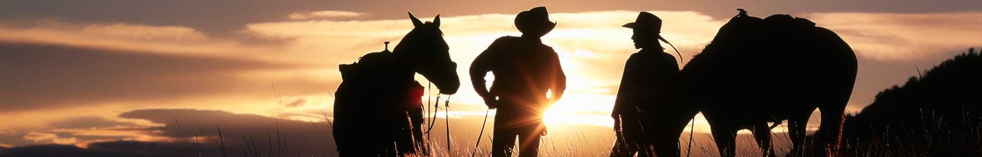 sunset cowboys