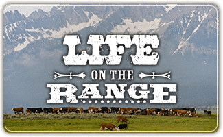 Life on the Range