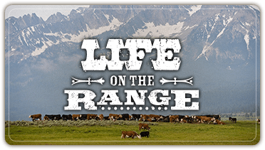 Open Range – Idaho Rangeland Resource Commission