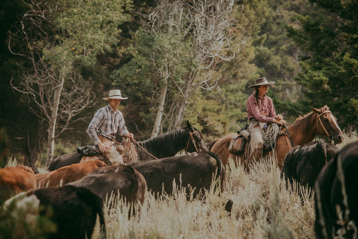 Wolves Part 5: Wolf Management In Idaho – Idaho Rangeland Resource ...